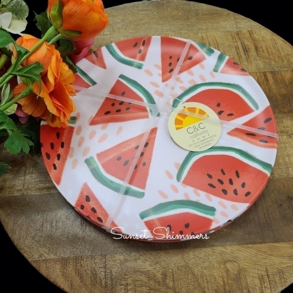 4pc set Watermelon C&C California Home Melamine 11" Dinner Plates New - Picture 1 of 4